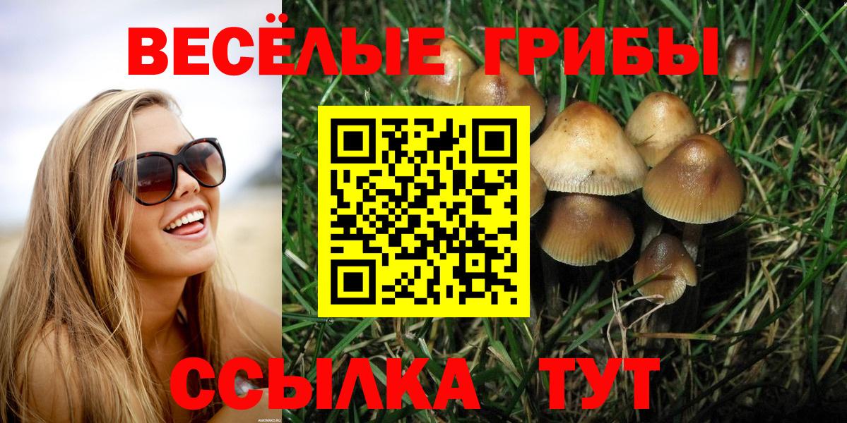 Псилоцибиновые грибы Psilocybine cubensis  Железногорск 