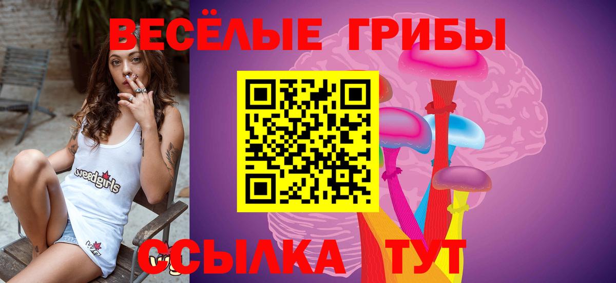 Псилоцибиновые грибы прущие грибы Железногорск