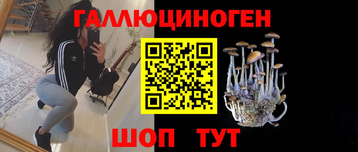 Железногорск  Галлюциногенные грибы ЛСД  Псилоцибиновые грибы Magic Shrooms  Вход с VPN 