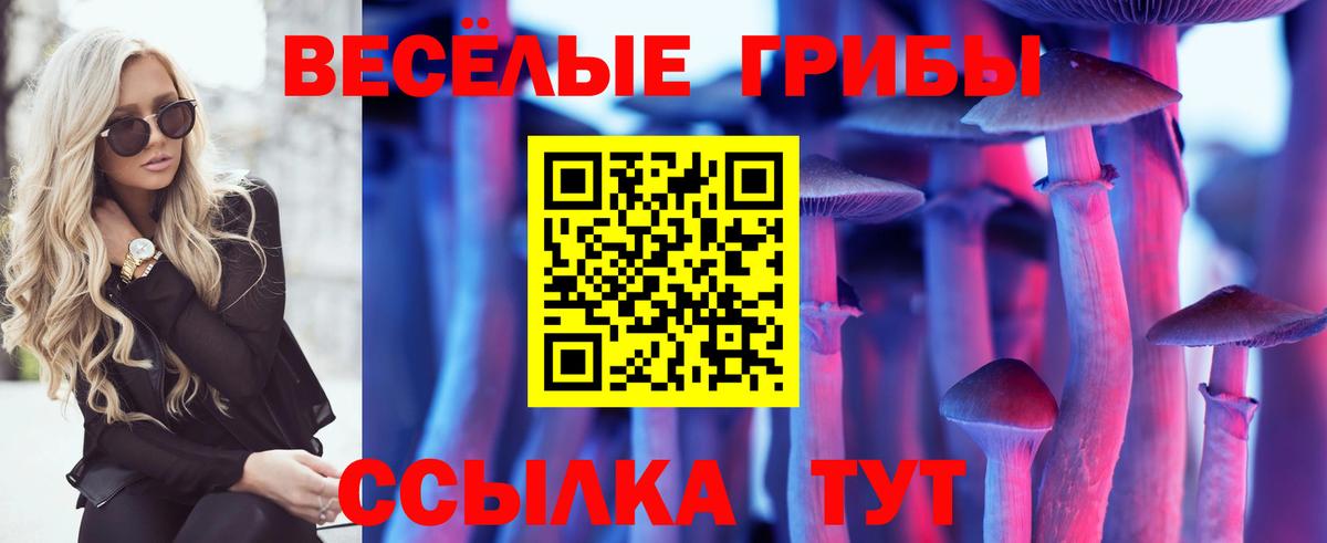 Галлюциногенные грибы MAGIC MUSHROOMS Железногорск